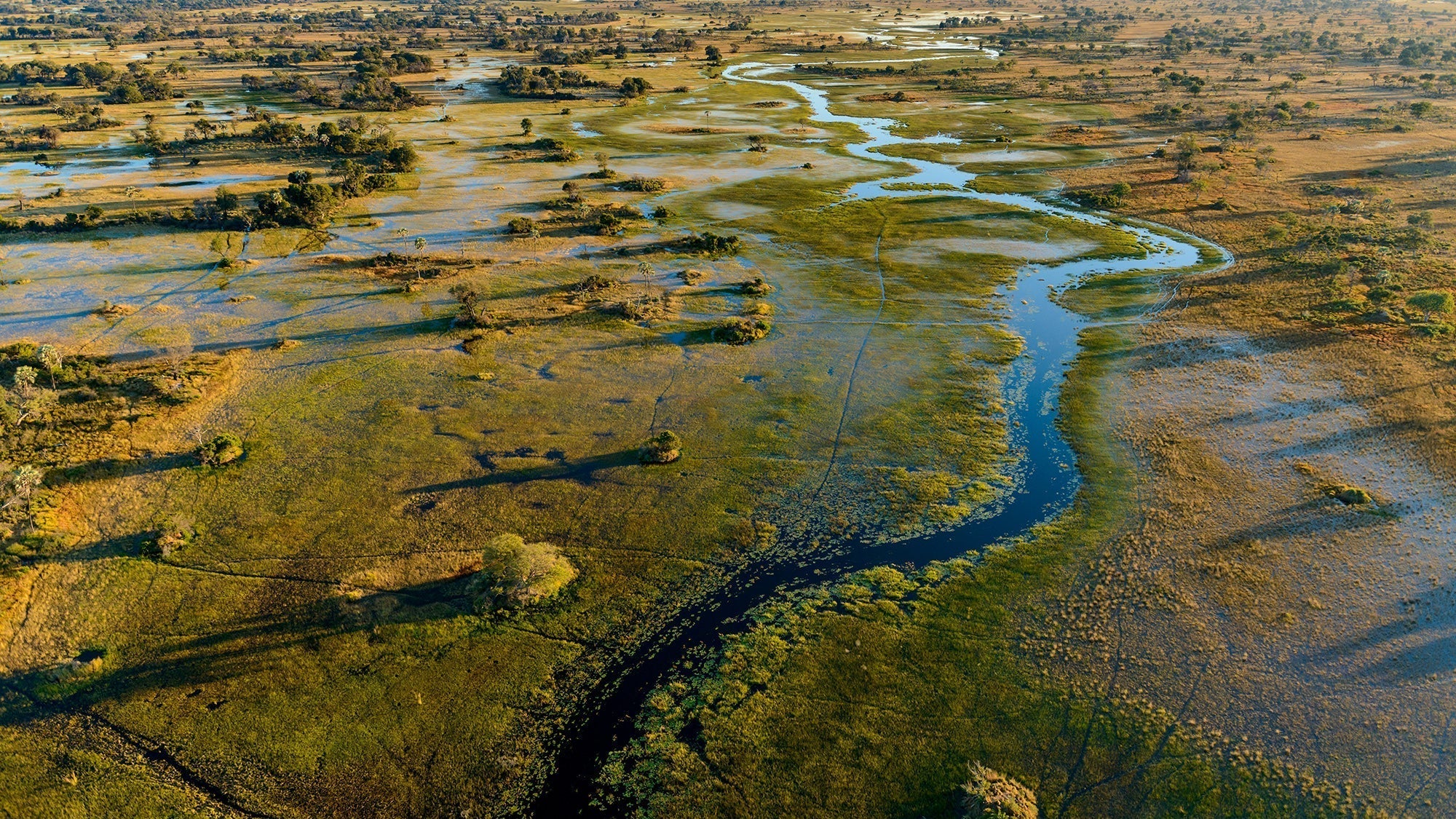 Botswana Field Report — Simon McCabe