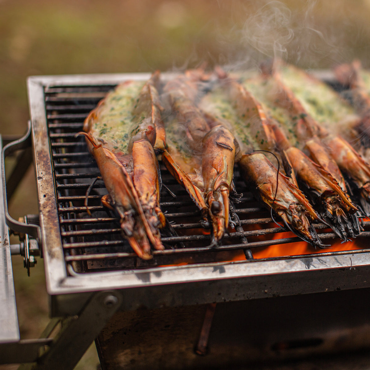 Grilla BBQ – Dual Fuel Version