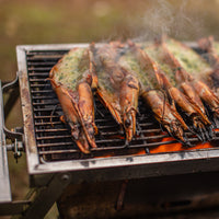Grilla BBQ – Dual Fuel Version