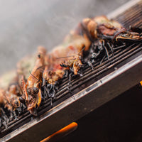 Grilla BBQ – Dual Fuel Version