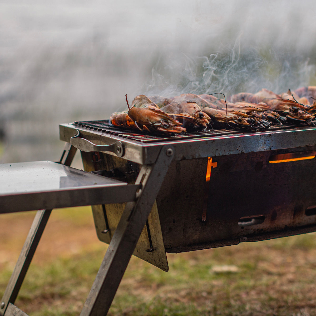 Grilla BBQ – Dual Fuel Version