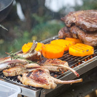 Grilla BBQ – Dual Fuel Version